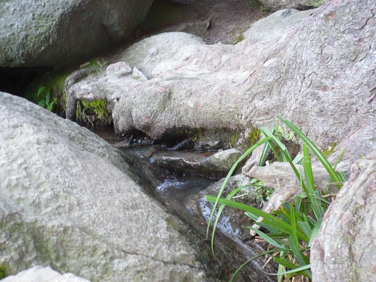 Die Siegfriedsquelle am Felsenmeer im Odenwald